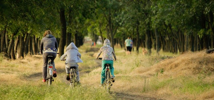 QUE FAIRE EN FAMILLE ? QUE FAIRE EN FAMILLE ?